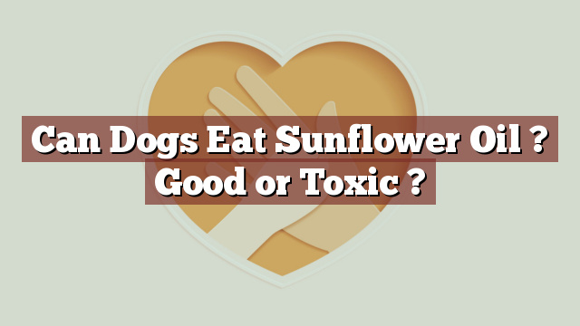 Can Dogs Eat Sunflower Oil ? Good or Toxic ?