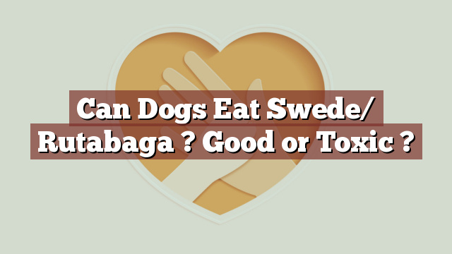 Can Dogs Eat Swede/ Rutabaga ? Good or Toxic ?