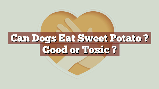 Can Dogs Eat Sweet Potato ? Good or Toxic ?