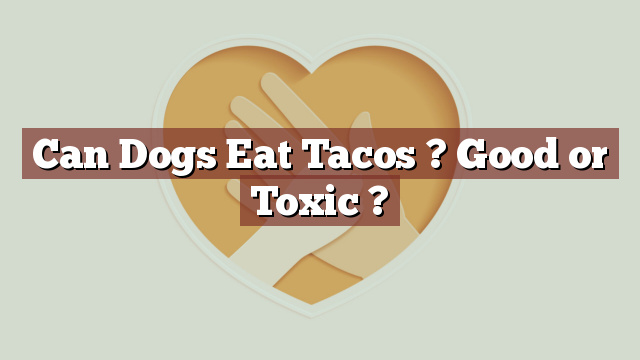 Can Dogs Eat Tacos ? Good or Toxic ?