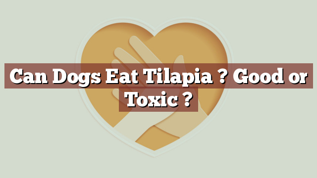 Can Dogs Eat Tilapia ? Good or Toxic ?