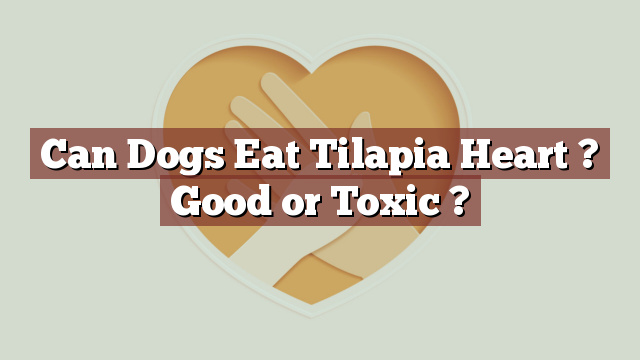Can Dogs Eat Tilapia Heart ? Good or Toxic ?