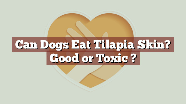Can Dogs Eat Tilapia Skin? Good or Toxic ?