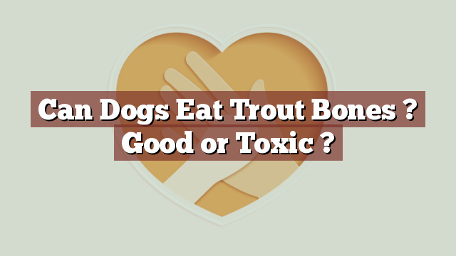 Can Dogs Eat Trout Bones ? Good or Toxic ?