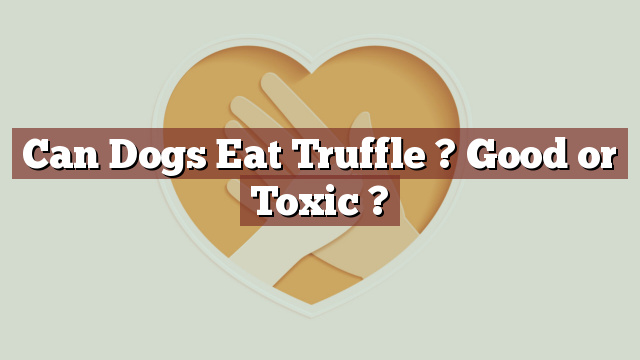 Can Dogs Eat Truffle ? Good or Toxic ?