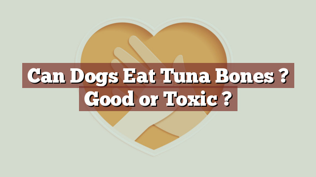 Can Dogs Eat Tuna Bones ? Good or Toxic ?