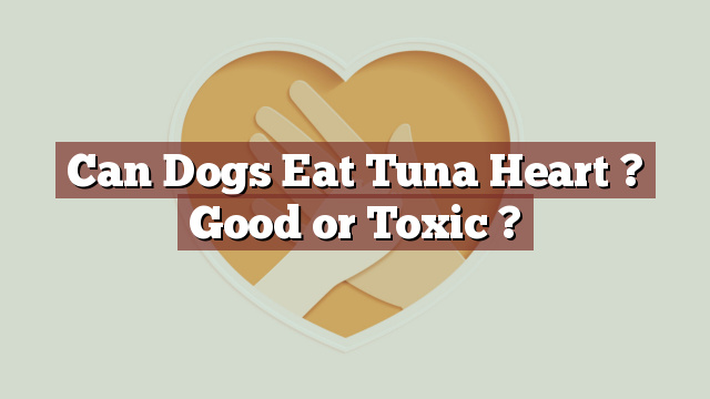 Can Dogs Eat Tuna Heart ? Good or Toxic ?