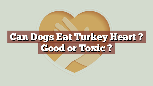 Can Dogs Eat Turkey Heart ? Good or Toxic ?