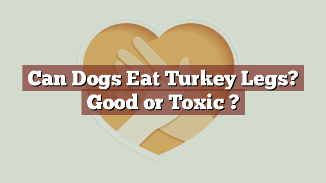 Can Dogs Eat Turkey Legs? Good or Toxic ?