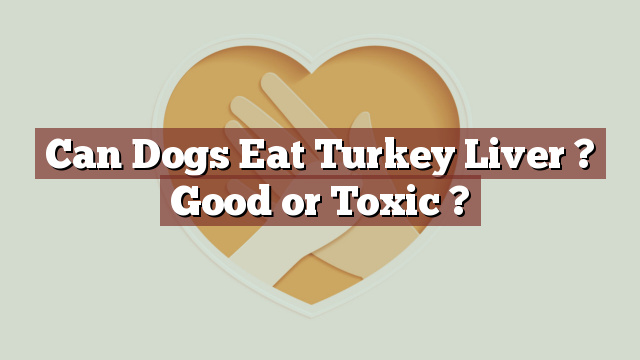 Can Dogs Eat Turkey Liver ? Good or Toxic ?