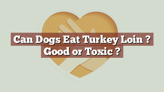 Can Dogs Eat Turkey Loin ? Good or Toxic ?