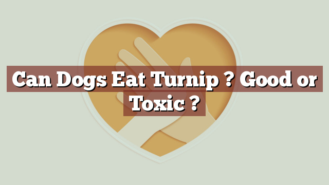 Can Dogs Eat Turnip ? Good or Toxic ?