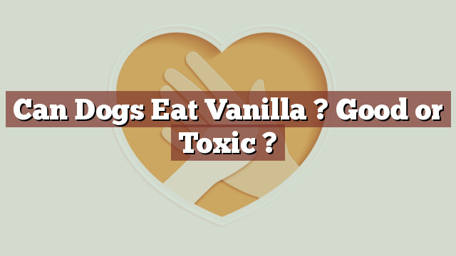 Can Dogs Eat Vanilla ? Good or Toxic ?