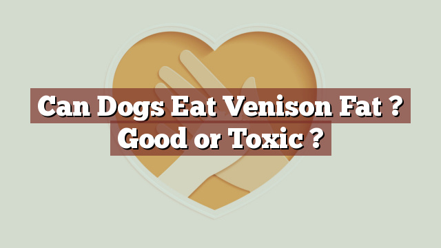 Can Dogs Eat Venison Fat ? Good or Toxic ?