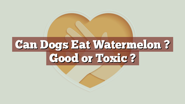 Can Dogs Eat Watermelon ? Good or Toxic ?