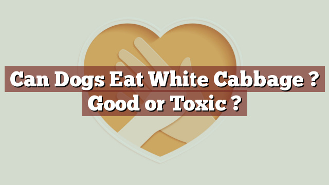 Can Dogs Eat White Cabbage ? Good or Toxic ?
