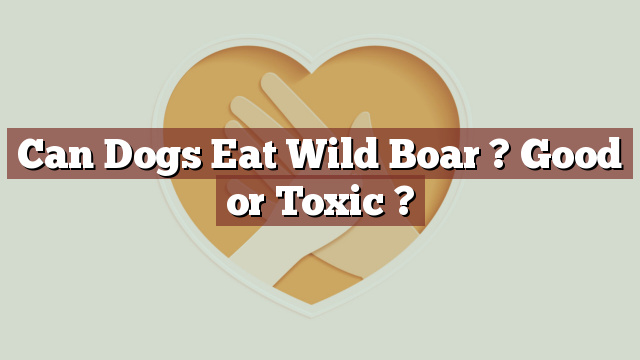 Can Dogs Eat Wild Boar ? Good or Toxic ?