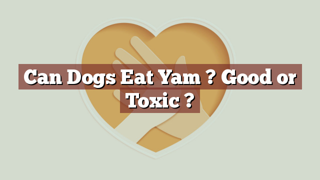 Can Dogs Eat Yam ? Good or Toxic ?