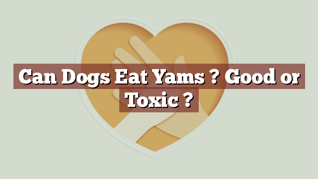 Can Dogs Eat Yams ? Good or Toxic ?