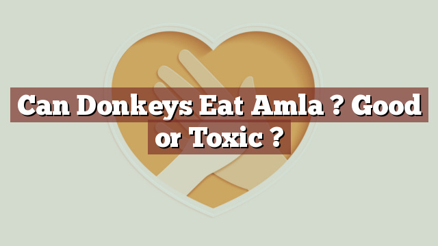 Can Donkeys Eat Amla ? Good or Toxic ?