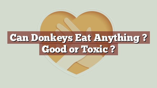 Can Donkeys Eat Anything ? Good or Toxic ?