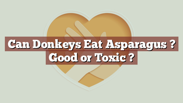 Can Donkeys Eat Asparagus ? Good or Toxic ?