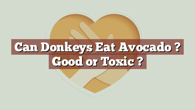 Can Donkeys Eat Avocado ? Good or Toxic ?