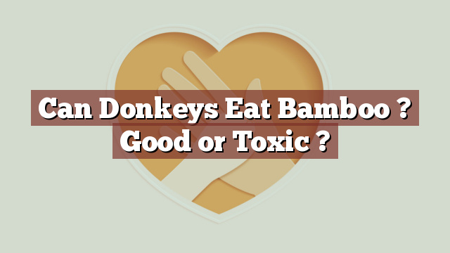 Can Donkeys Eat Bamboo ? Good or Toxic ?