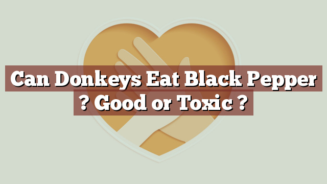 Can Donkeys Eat Black Pepper ? Good or Toxic ?