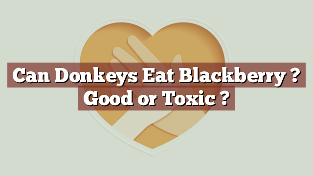 Can Donkeys Eat Blackberry ? Good or Toxic ?