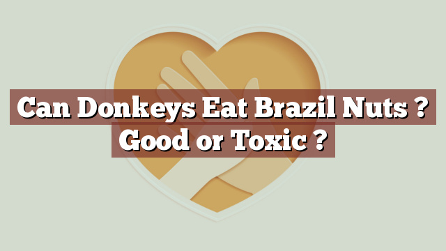 Can Donkeys Eat Brazil Nuts ? Good or Toxic ?