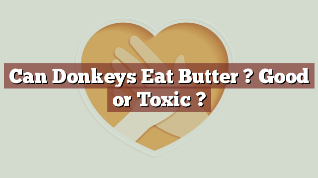 Can Donkeys Eat Butter ? Good or Toxic ?