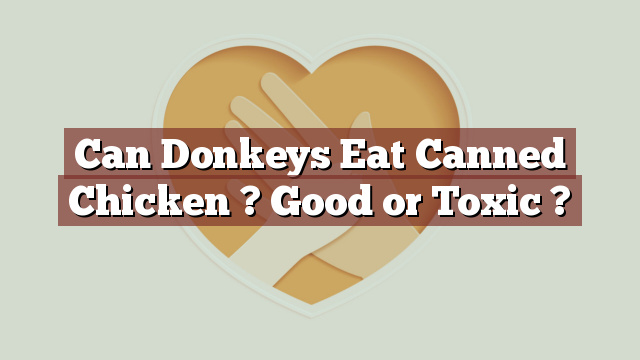 Can Donkeys Eat Canned Chicken ? Good or Toxic ?