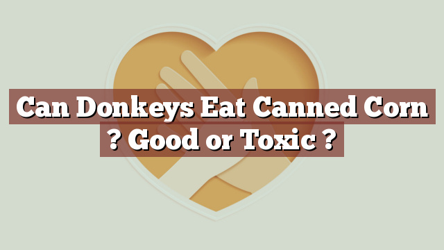 Can Donkeys Eat Canned Corn ? Good or Toxic ?