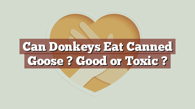 Can Donkeys Eat Canned Goose ? Good or Toxic ?