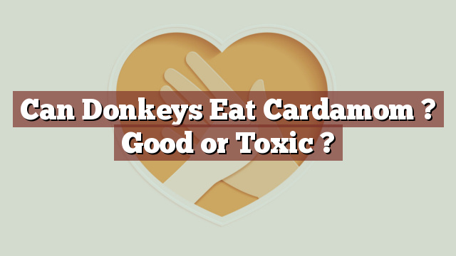 Can Donkeys Eat Cardamom ? Good or Toxic ?