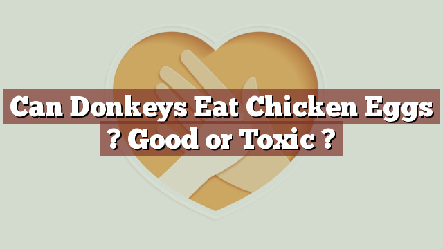 Can Donkeys Eat Chicken Eggs ? Good or Toxic ?