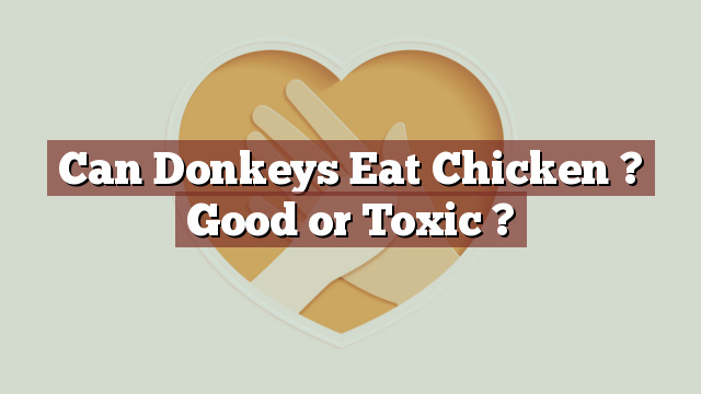 Can Donkeys Eat Chicken ? Good or Toxic ?