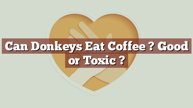 Can Donkeys Eat Coffee ? Good or Toxic ?