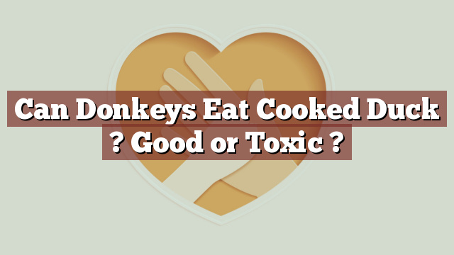 Can Donkeys Eat Cooked Duck ? Good or Toxic ?