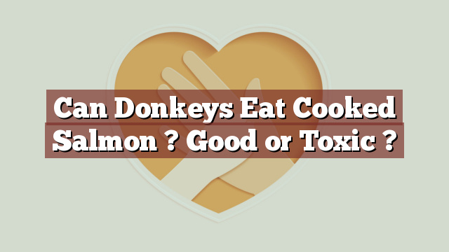 Can Donkeys Eat Cooked Salmon ? Good or Toxic ?