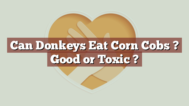 Can Donkeys Eat Corn Cobs ? Good or Toxic ?