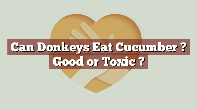 Can Donkeys Eat Cucumber ? Good or Toxic ?