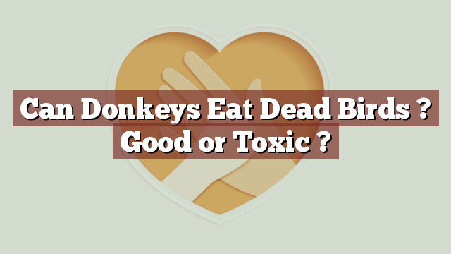 Can Donkeys Eat Dead Birds ? Good or Toxic ?