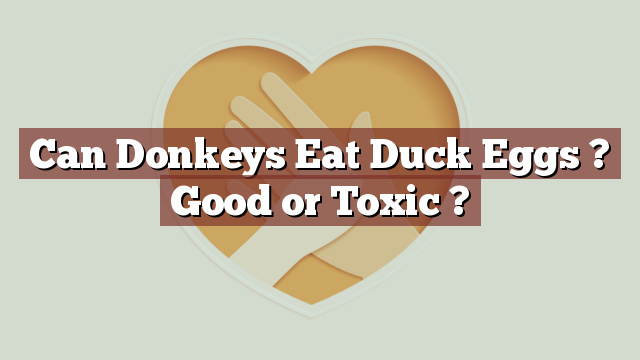 Can Donkeys Eat Duck Eggs ? Good or Toxic ?