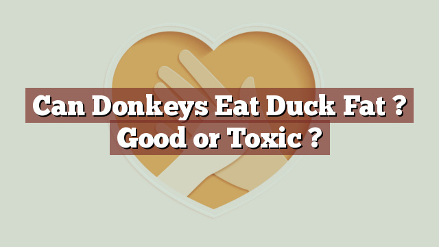 Can Donkeys Eat Duck Fat ? Good or Toxic ?