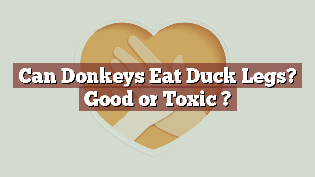 Can Donkeys Eat Duck Legs? Good or Toxic ?