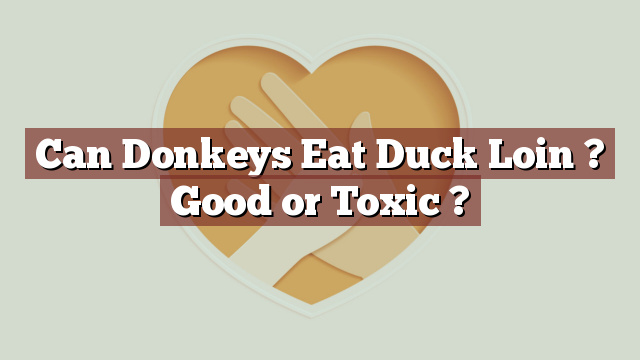 Can Donkeys Eat Duck Loin ? Good or Toxic ?