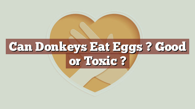 Can Donkeys Eat Eggs ? Good or Toxic ?