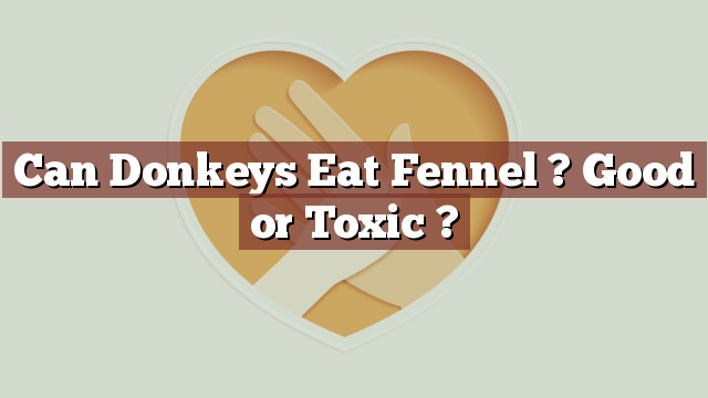 Can Donkeys Eat Fennel ? Good or Toxic ?